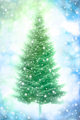 Christmas tree in snow