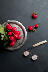 Fresh radish on a dark background.