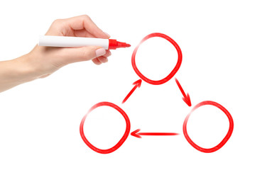 Human hand marker of presenter drawing cycling process in three phases on white background isolation