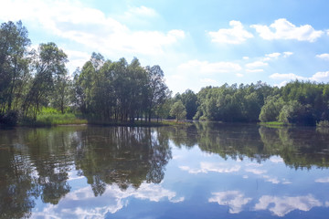 Wood and white clouds in the blue sky reflected in the mirrored water of a lake
