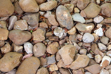 Rocks
