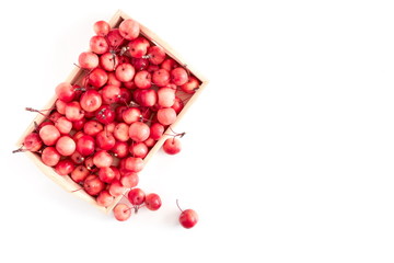 Autumn, fall concept. Red berries, small apples in a wooden box on a white background. Flat lay, top view, copy space 