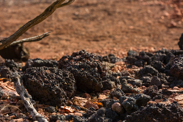 braune Landschaft nach australischer Art