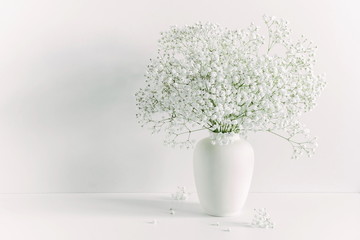 White floral background. Soft home decor, vase with white small flowers on a white background....