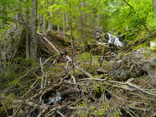 Höllbachgspreng, bewaldetes Felsmassiv unterhalb des Grossen Falkenstein, Bayerischer Wald, Deutschland