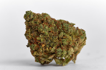 Close up of yumbolt strain medical marijuana and recreational marijuana flower bud isolated on a white background