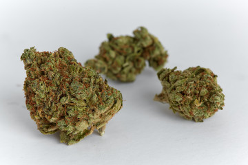 Close up of yumbolt strain medical marijuana and recreational marijuana flower bud isolated on a white background