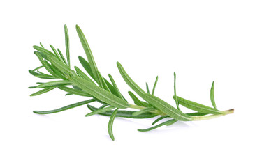 Rosemary isolated on white background