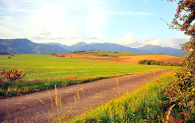 Mountain landscape in Tatras on summer