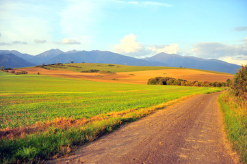 Road in green grass field with mountains on background