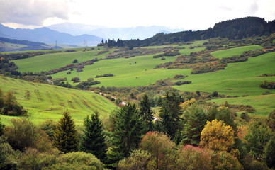 Fototapeta na wymiar Beautiful green valley in Tatras national park