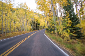 Driving Autumn Road