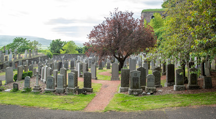cemetery in summer