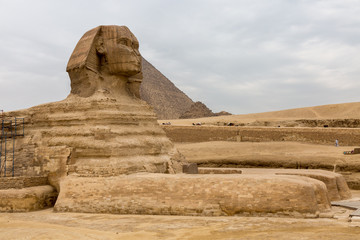 Fototapeta na wymiar Sphinx in Giza