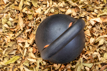 heavy iron kettlebell