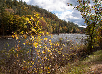 River Flowing through Valley with colorful foliage, trees and shrubs