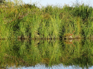 Autumn evening on the river