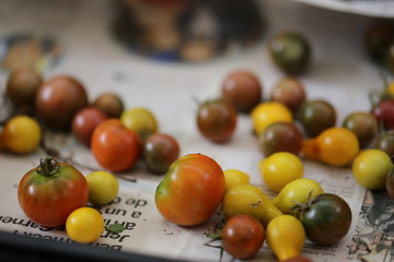 tomates tradicionales de mercado