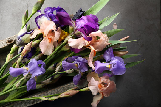Bloom colorful iris flowers