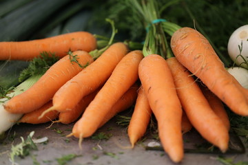 zanahorias 