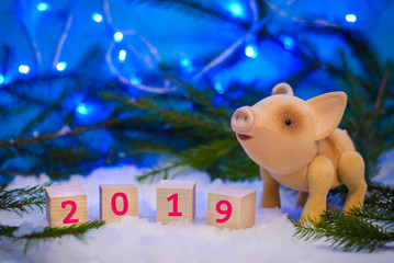 Christmas picture with a little pig and 2019 new year