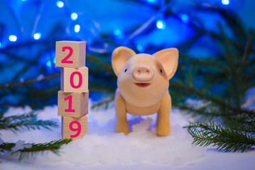 Christmas picture with a little pig and 2019 new year