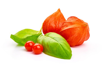 Physalis with Physalis berries and basil leaves, isolated on white background. Close-up.