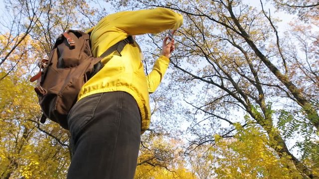 Man in photographing yellow autumn forest with mobile phone
