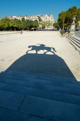 Shadow of Parisian stature - 229425655