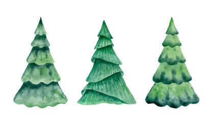 Christmas tree isolated on white background.Watercolor illustration..