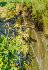 beautiful view of the waterfall