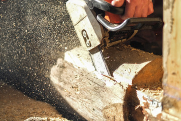 the worker saws off a log with a chainsaw