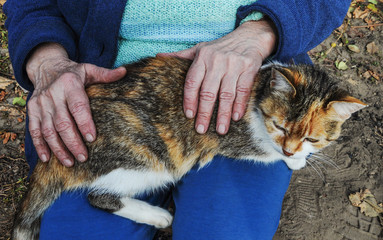 old woman, sitting on the street, stroking a cat.