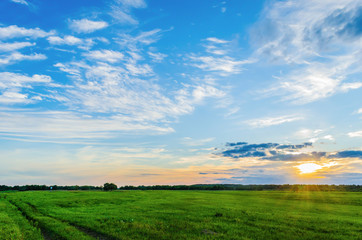 Incredible stunning sunset with a colorful sky against the background of green vegetation of wild nature. Belarusian Polesie. Pripyat National Park