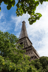 View of the Eiffel Tower in the city of Paris in sunny day with trees in the foreground.
