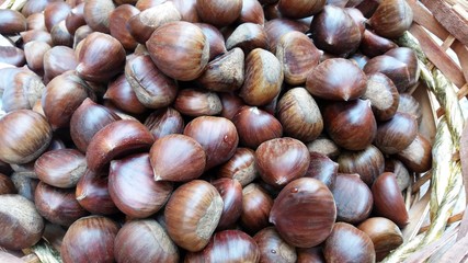 castagne crude raccolte nel cestino
