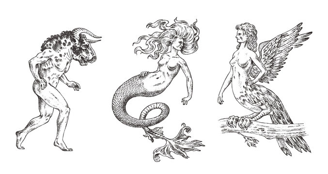 Set of Mythological animals. Mermaid Minotaur Harpy Woman Bird. Greek creatures. Engraved hand drawn antique old vintage sketch.