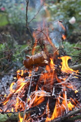 Grilled sausages above the campfire in summer