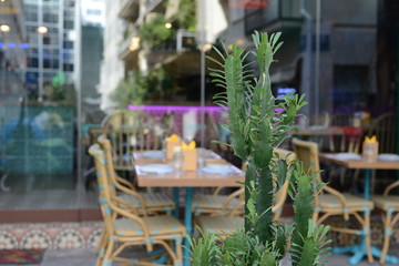 Mexican restaurant ethnic kitchen