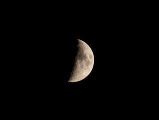 Mond