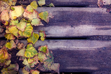 TABLAS DE MADERA DE PUENTE Y HOJAS EN LATERAL VERDES