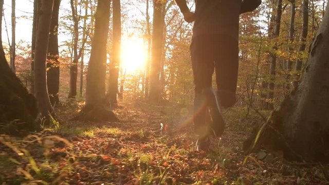 Fall Foliage Scenery and Sunset. Caucasian Runner in a Forest. Slow Motion Footage