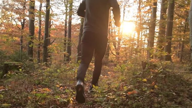 Scenic Forest Run During Sunset. Sportsman During Fall Season Jogging