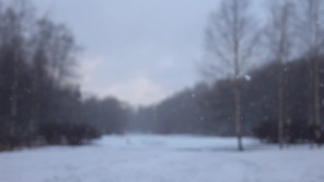 Snow falling in front of forest. Slow motion.