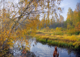 Obraz premium Осень/Autumn