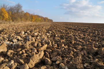 Fototapeta premium Autumn plowing field