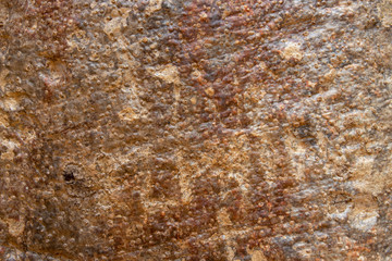 Grunge tree bark texture. Yellow wooden bark closeup. Weathered grungy surface photo background.