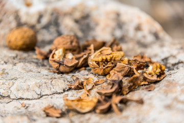 Delicious nuts with very healthy Ideal and highly recommended for a healthy diet for the human body that helps reduce cholesterol