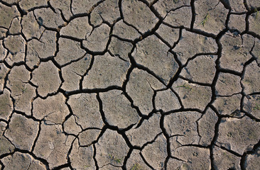 Dry cracked ground