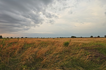 sunset over field